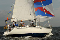 2013 Vineyard Race A 538