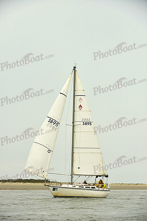 2015 Charleston Race Week E 1379