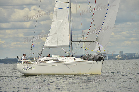 2016 Vineyard Race A_0930