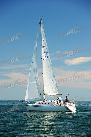2015 Cape Charles Cup B 254