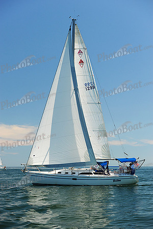2015 Cape Charles Cup B 267