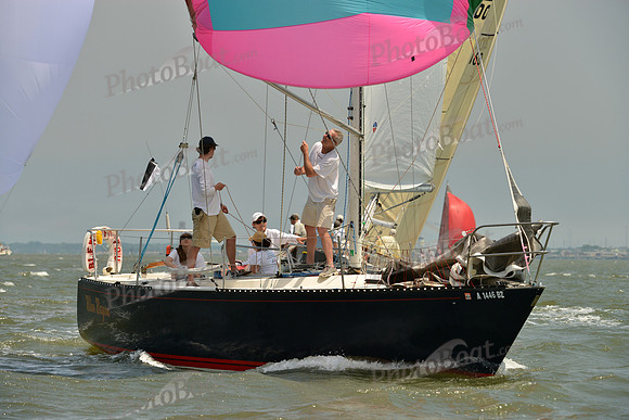 2016 Southern Bay Race Week A_1633