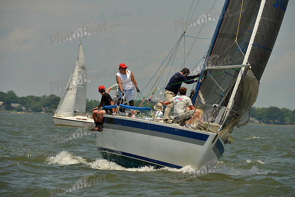 2016 Southern Bay Race Week F_1254