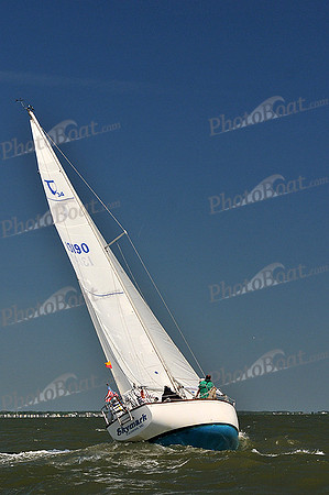 2014 Southern Bay Race Week D 296