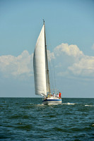 2015 Southern Bay Race Week C 1228