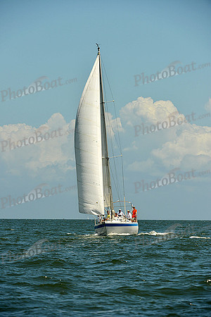 2015 Southern Bay Race Week C 1228