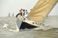 2015 Vineyard Race A 231