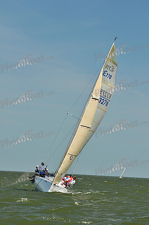 2013 Southern Bay Race Week D 468
