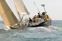 2010_Newport_Bermuda 846