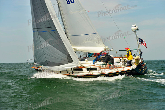 2018 Figawi_0567