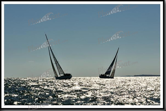 proof_2010_Vineyard_Race_2716