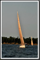 proof_2010 Gov Cup C 364