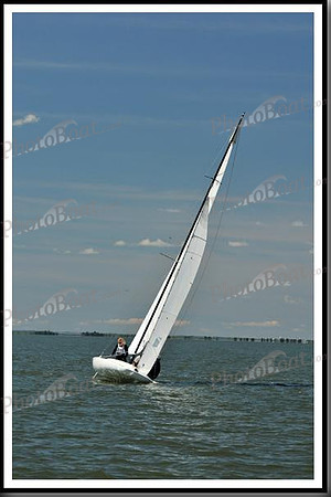 proof_2010_EScows_D 877