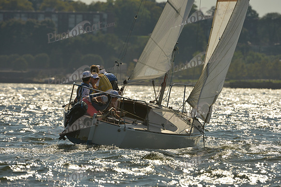 2015 NY Architects Regatta A 311