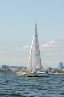 2011 Vineyard Race A 674