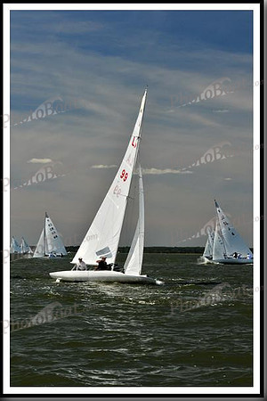 proof_2010_EScows_E 187