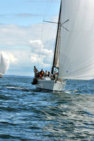2010 IRC LIS 894