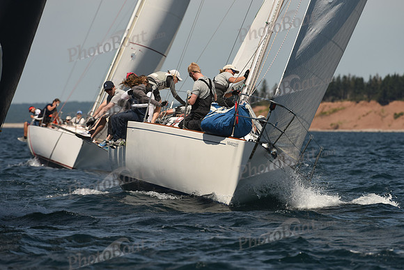 2016 Chester Race Week A_0253