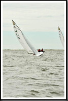 proof_2010_EScows_A 635