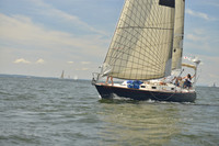 2016 Vineyard Race A_0383