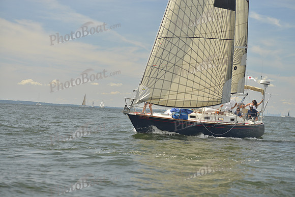 2016 Vineyard Race A_0383