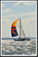 proof_2010_Vineyard_Race_1193