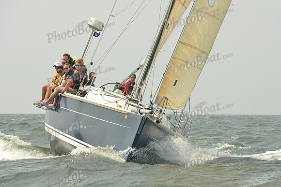2015 Vineyard Race A 448