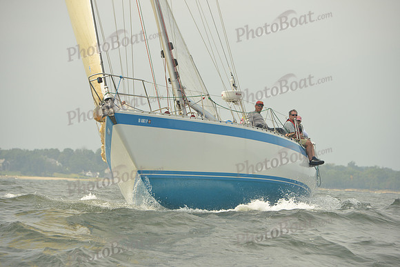 2015 Vineyard Race A 1586