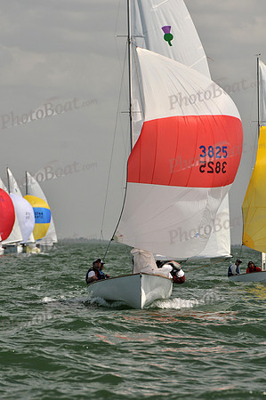 2012 Thistle Midwinters B 1386