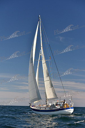 2016 Newport Bermuda Race_1138