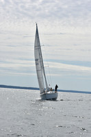 Arion