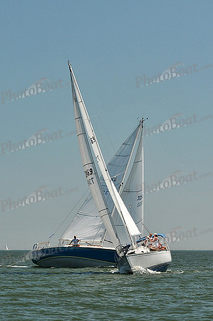 2013 Southern Bay Race Week C 1274