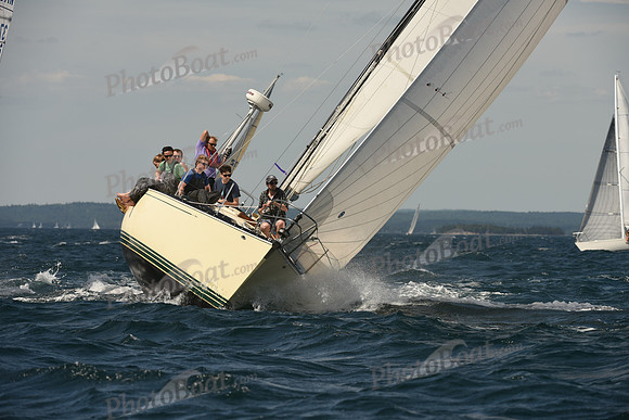 2016 Chester Race Week A_1408