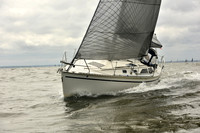 2018 Vineyard Race A_0326