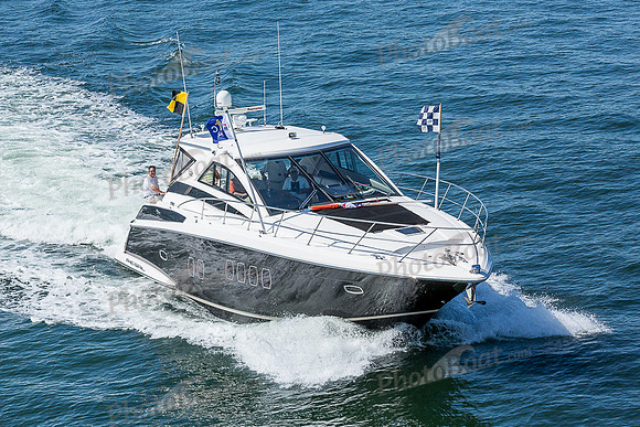 DBP_1343
