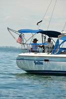 2015 Cape Charles Cup A 269
