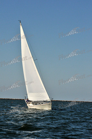 2010 Leukemia Cup 096