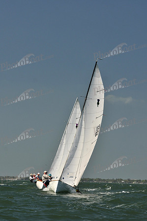 2012 Thistle Midwinters C 213