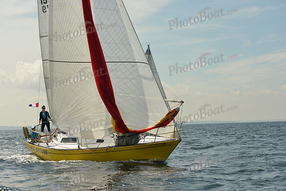 2015 Denmark Race A 315