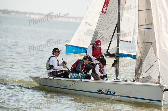 DBP_8195