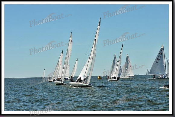 proof_2010_EScows_D 200