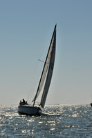 2010 Leukemia Cup 047