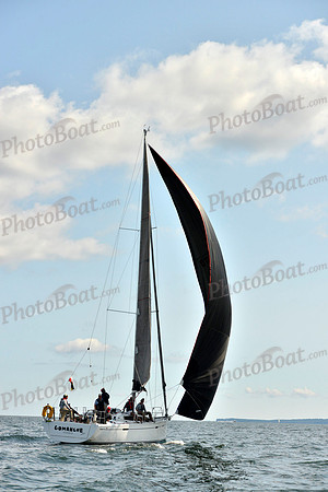 2017 Stamford Denmark Race_1235