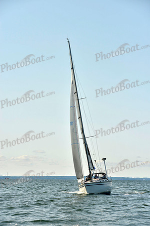 2017 Stamford Denmark Race_0257