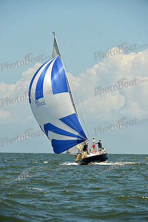 2015 Southern Bay Race Week D 335