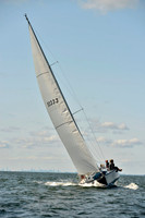 2017 Stamford Denmark Race_0521