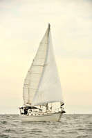 2017 Vineyard Race B_0277