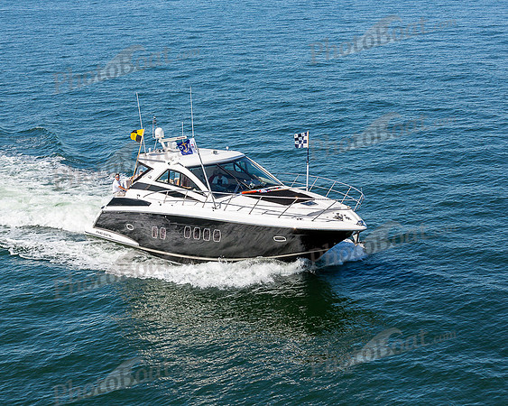 DBP_1342
