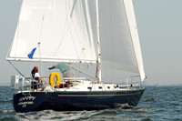 2012 Vineyard Race A 317