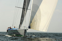 2013 Vineyard Race A 1682